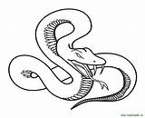 Coloring Snake Fangs Pages Popular sketch template