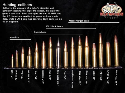 ammo  gun collector  excellent game hunting cartridge ammo caliber chart