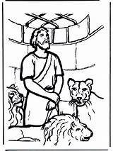 Daniel Den Coloring Lions Pages Lion Bible Old Testament Daniels Bibel Advertisement sketch template