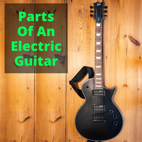 parts   electric guitar  guitarist