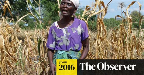 50 million africans face hunger after crops fail again global