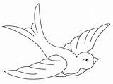 Swallow Bird Coloring Colouring Thedrawbot Template Drawings Easy sketch template