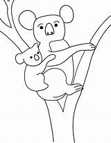 Koala Coloriage Imprimer Animal Coloringme Dessus Dessins Laguerche Coloringbay Kolala sketch template