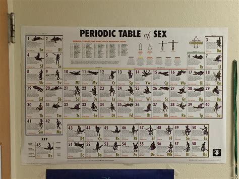 periodic table of sex humor poster 24x36 from bananaroad posters