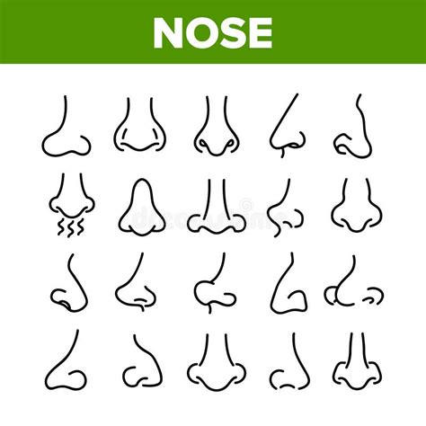 nose human face organ collection icons set vector stock vector