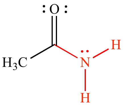 illustrated glossary  organic chemistry amino group amido group