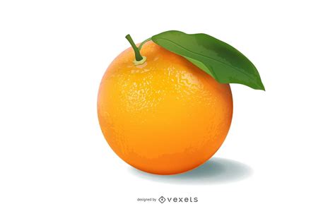realistic orange vector vector