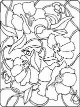 Remembrance Coloring Blumen Ranken Malvorlagen Commemoration Commemorazione Malvorlage Classroom Poppy Ausmalen Colorare Drucken Titel Veteran Gifgratis sketch template