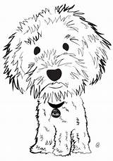 Dog Labradoodle Pages Goldendoodle Coloring Drawing Mandalas Australian Adorable Doodle Drawings Cartoon Template Goldendoodles Animal sketch template