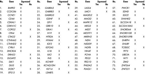 List Of The Imprinted Genes Tested For Their Expression In Human