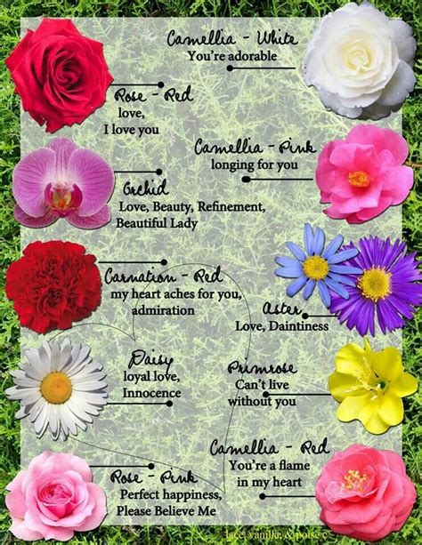 Flowers And Meanings Chart Fanny Healthy Life
