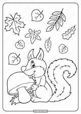 Squirrel Leaves Coloring Mushroom Whatsapp Tweet Email sketch template