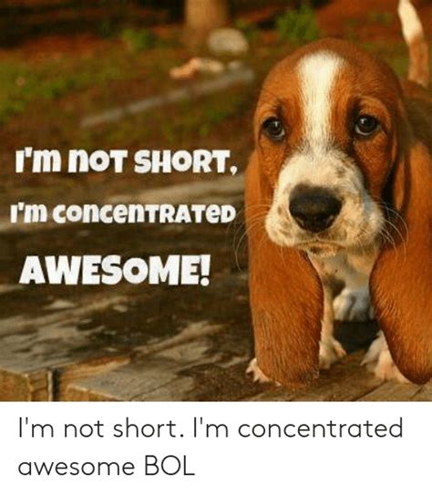 I M Not Short I M Concentrated Awesome I M Not Short I M