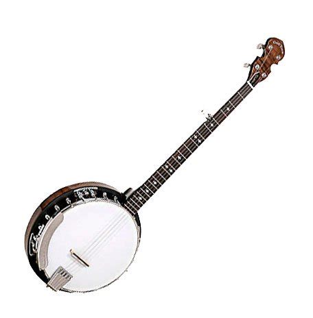 folk stringed instruments