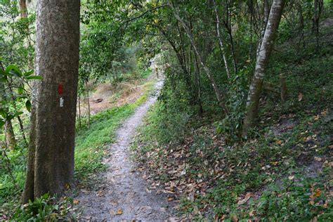 ravine gardens hiking trails florida hikes