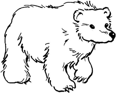 winter animal polar bear coloring pages