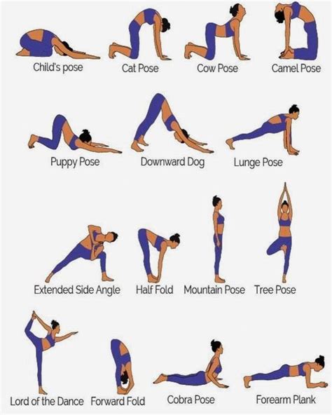 yoga posture awesomeyogaposes basic yoga poses basic yoga