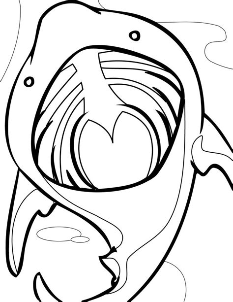 shark coloring pages  coloring kids shark coloring pages
