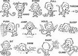 Verbs Verb Monkey Vocabulary sketch template
