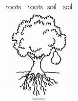 Coloring Roots Soil Tree Pear Built California Usa sketch template