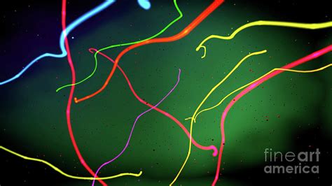 neon streamers photograph  christoph burgstedtscience photo library