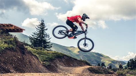 haibike xduro dwnhll downhill mountain bikes