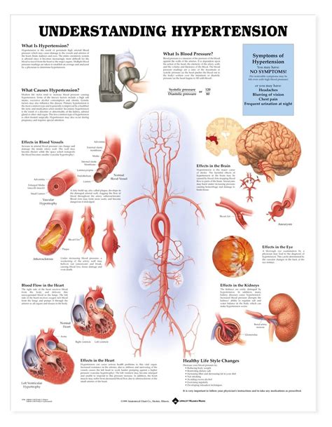 understanding hypertension infographic rehabilitate  heart