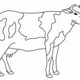 Vaca Colorir Manchas Louca Tudodesenhos sketch template