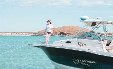 bootstour dampier boardshortslife