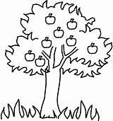 Tree Coloring Apple Pages Clipart Colouring Trees Outline Drawing Family Apples Pecan Fall Kids Flowering Fruit Jungle Getdrawings Sheets Fotolip sketch template