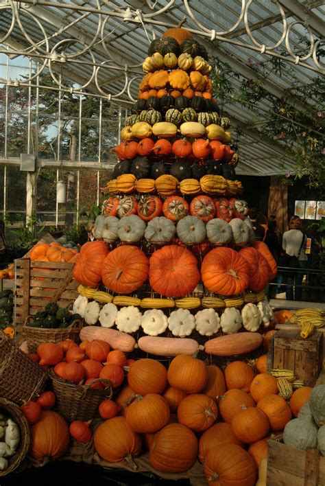 pumpkin tower  kew gardens autumn festival london pictures   images  facebook