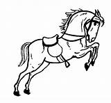 Cavalo Caballo Saltando Sela Silla Cavallo Cheval Salta Saute Saltar Caballos Sedia Cavall Saltan Saltant Cadira Animali sketch template