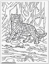 Jungle Coloring Pages Animal Realistic Animals Scene Color Printable Kids Clip Safari Print Library Clipart Popular Getcolorings Children Coloringhome sketch template