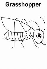 Grasshopper Coloring Pages Clipart Popular Library Cute Print Line sketch template