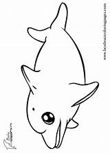 Dolphin Coloring Pages Baby Cute Dolphins Print Draw Color Kids Printable Bratz Line Drawing Cliparts Colouring Clipart Adults Colour Animals sketch template