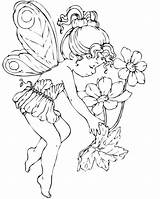 Characteristic Fadas Fairys Bestappsforkids Coloringhome sketch template