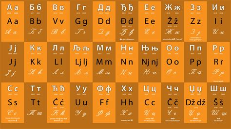 kyrillisches alphabet serbisch  alphabet collections