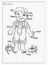 Coloring Body Kids Pages Parts Human Popular sketch template