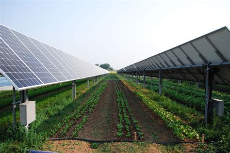 rooftop garden    solar powered working farm wired
