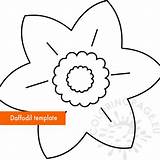 Daffodil Coloringpage sketch template