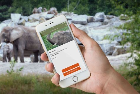 ontdek de interactieve app beekse bergen