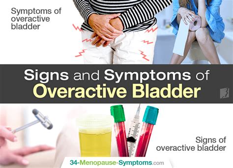 Signs And Symptoms Of Overactive Bladder Menopause Now