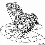 Frogs Ranas Justcolor sketch template