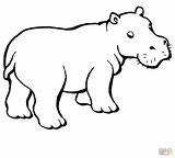 Hippo Coloring Drawing Pages Outline Easy Hippopotamus Baby Kids Cartoon Printable Colouring Color Paintingvalley Drawings Getcolorings Supercoloring Getdrawings sketch template