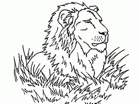 realistic animal coloring pages coloring home