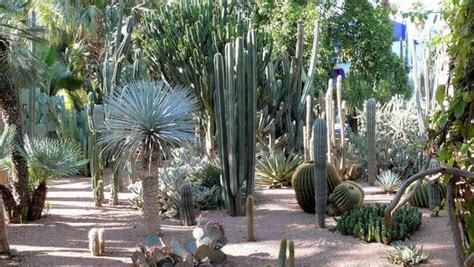 jardin des cactus nouvelle extension du parc à crocodiles d agadir