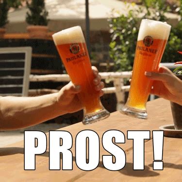 beer cheers gif  paulaner find share  giphy