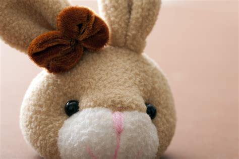 face   cute plush stuffed easter bunny toy creative commons stock image