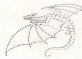 Wyvern Coloring Dragon Pages Template sketch template