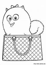 Pets Mascotas Gidget Secret Secreta Desenhos Colorir Bichos Malvorlagen Loulou Zivot Betes Tajný život Bojanke Decu Omalovánky Handbag Animales Tajni sketch template